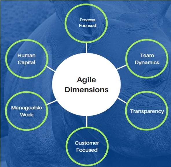 Building an Agile Assessment Tool