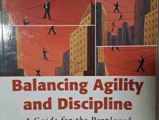 Balancing Agility and Discipline - A Guide for the Perplexed