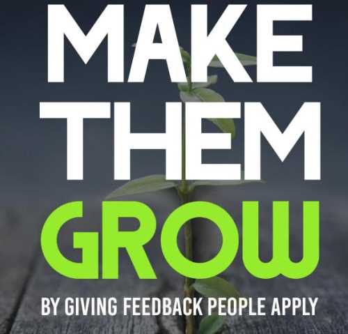 Make Them Grow by Giving Feedback People Apply