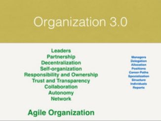 Modern Agile Organization
